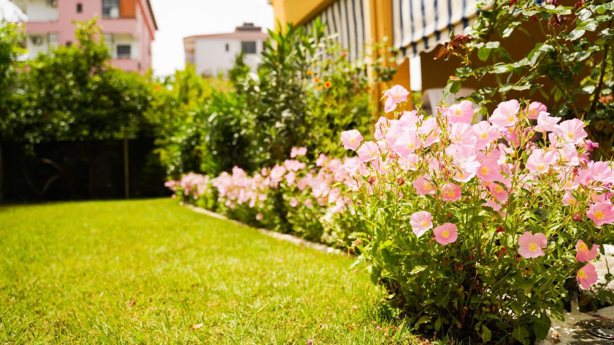 Vila Aliaj Luxury Apartment With 2 Rooms With Private Wonderful Terrace Durrës 外观 照片